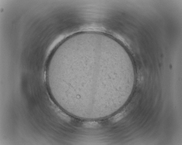 X0000084051462200703022202