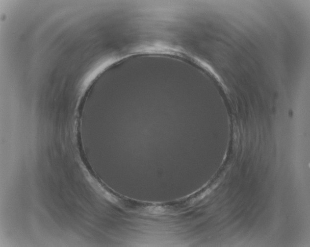 X0000084051463200703022202