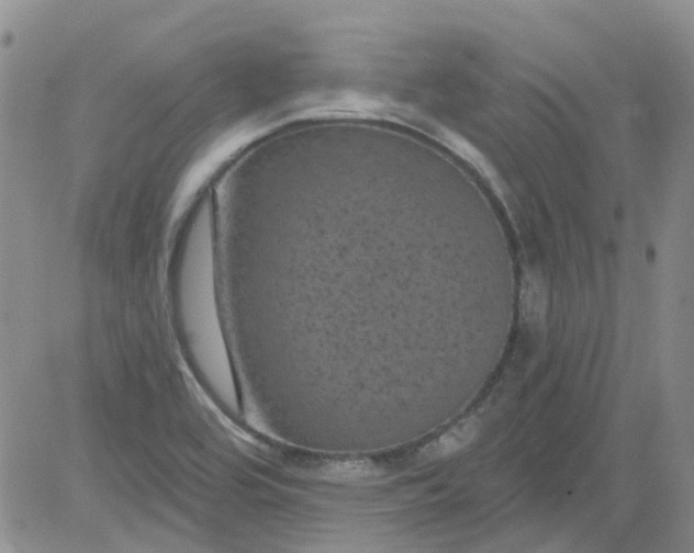 X0000084051464200703022202