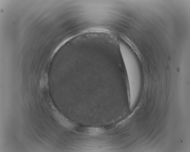 X0000084051465200703022202