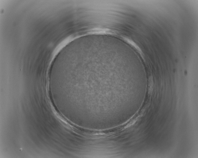 X0000084051467200703022202