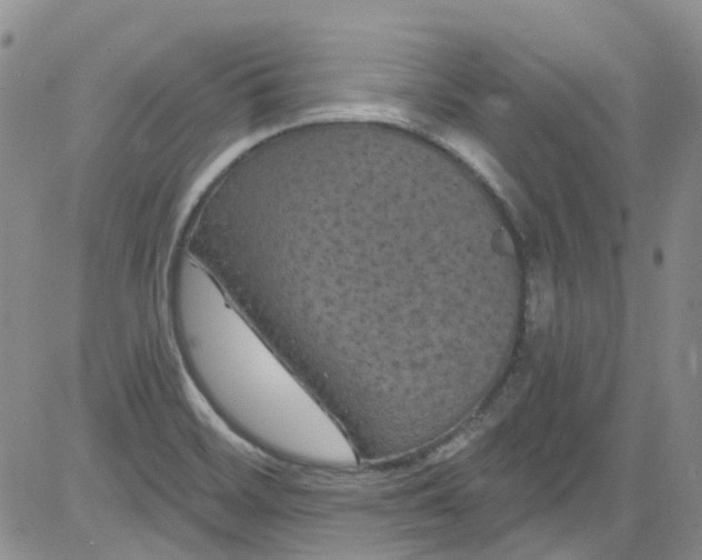 X0000084051468200703022202