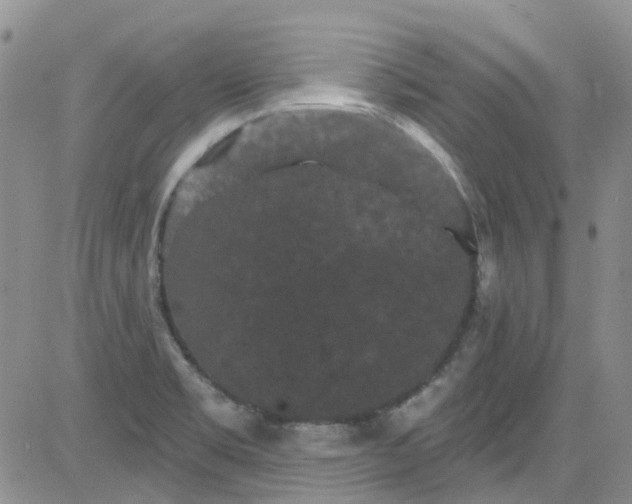 X0000084051469200703022202