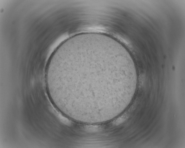 X0000084051470200703022202