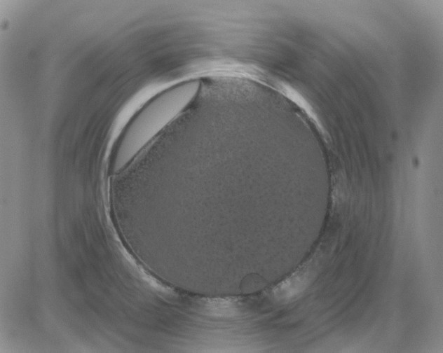 X0000084051472200703022202