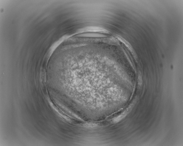 X0000084051473200703022202