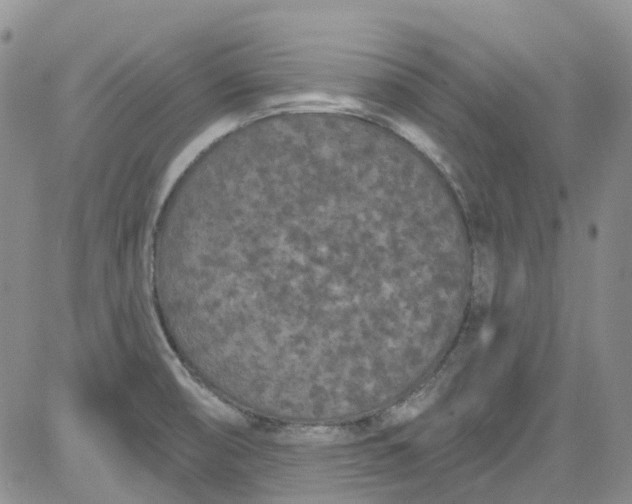 X0000084051474200703022202