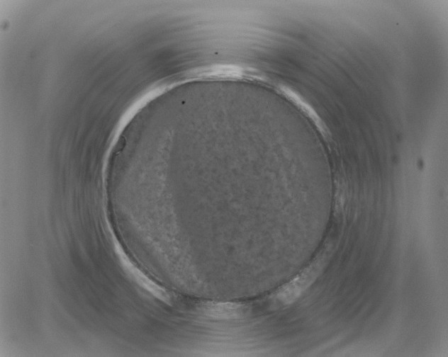 X0000084051475200703022202