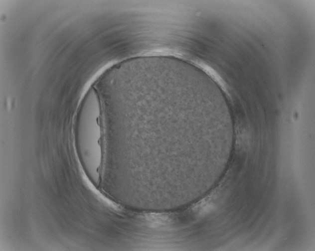 X0000084051476200703022202