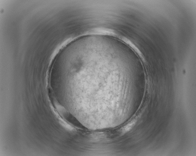 X0000084051477200703022202