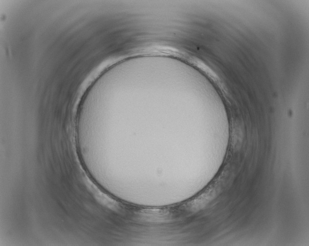 X0000084051478200703022202