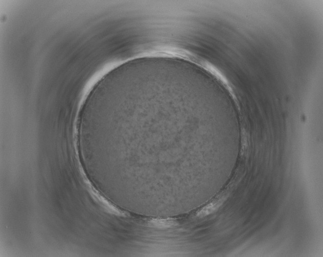 X0000084051480200703022202