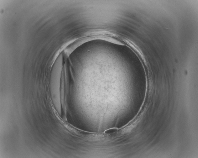 X0000084051481200703022202