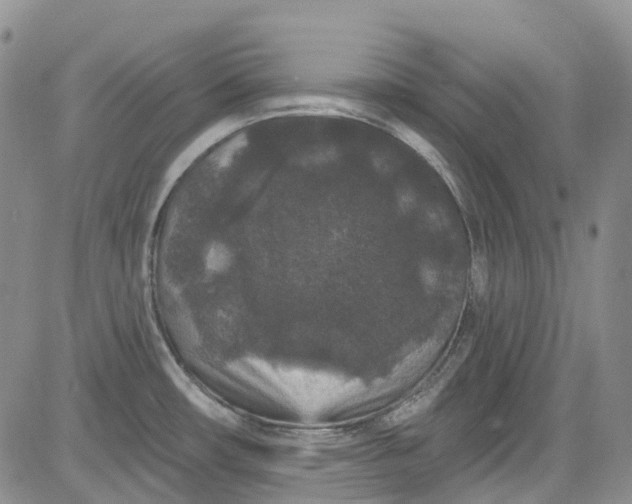 X0000084051482200703022202