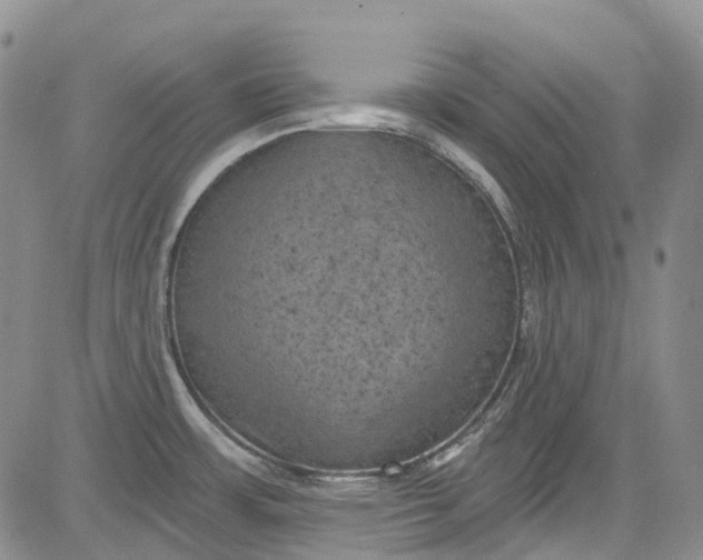 X0000084051483200703022202