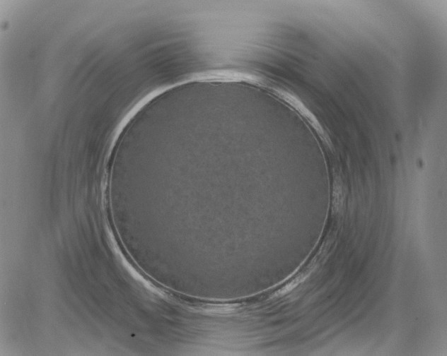 X0000084051484200703022202