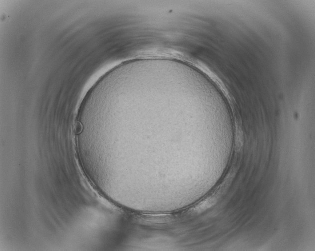 X0000084051486200703022202