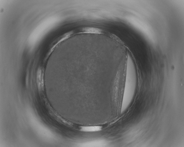 X0000084051487200703022202