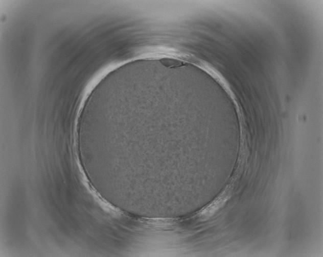 X0000084051488200703022202