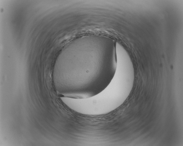 X0000084051489200703022201