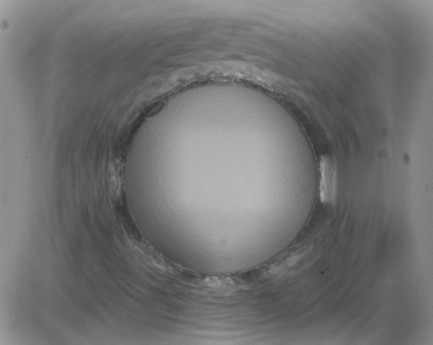 X0000084051491200703022201