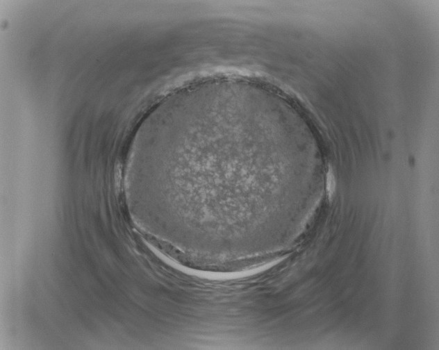 X0000084051492200703022201