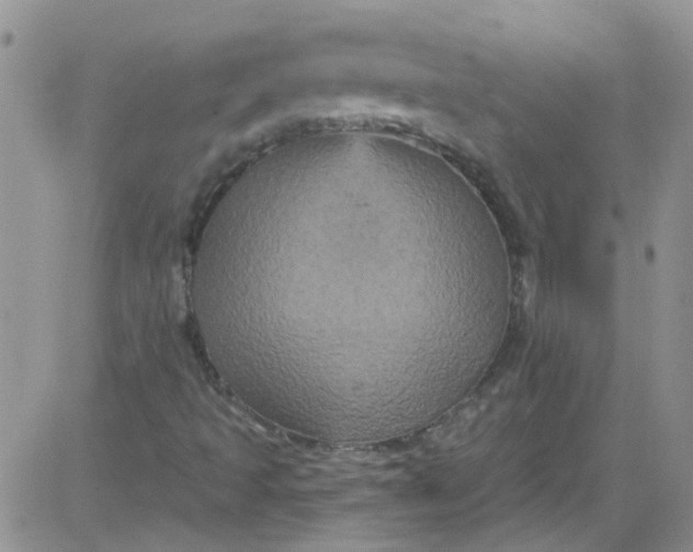 X0000084051493200703022201