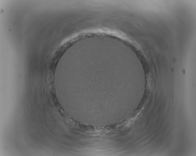 X0000084051494200703022201