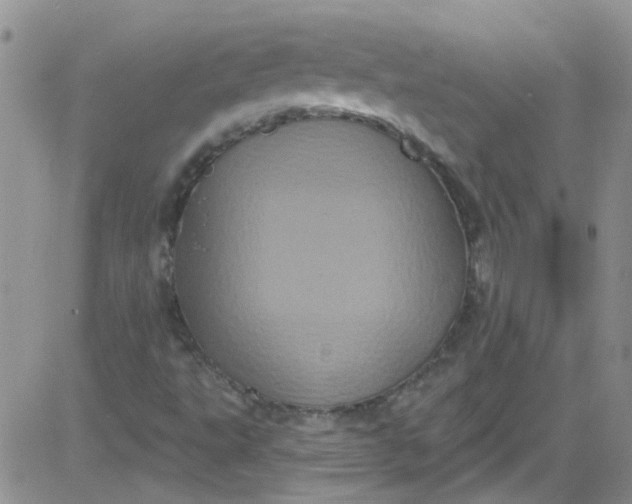 X0000084051495200703022201