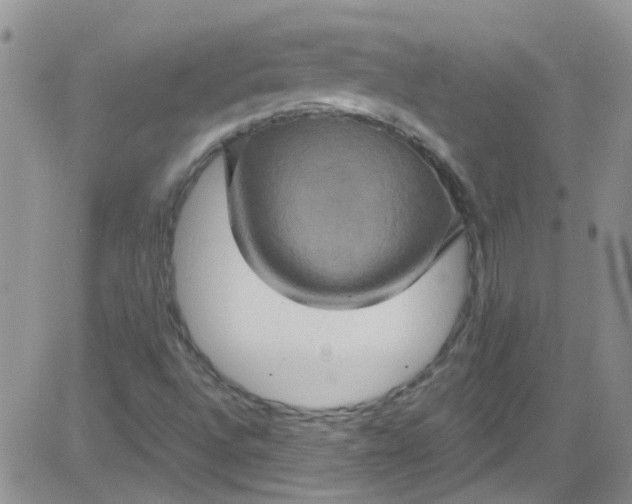 X0000084051496200703022201