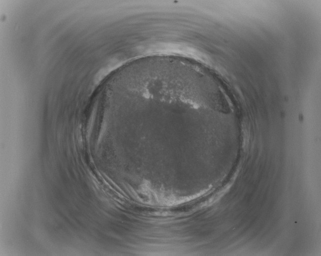 X0000084051497200703022201