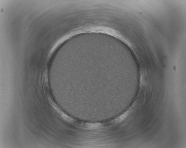 X0000084051498200703022201