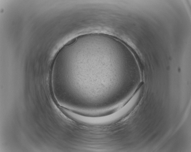 X0000084051500200703022201