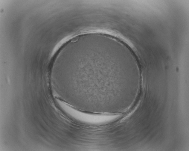 X0000084051501200703022201