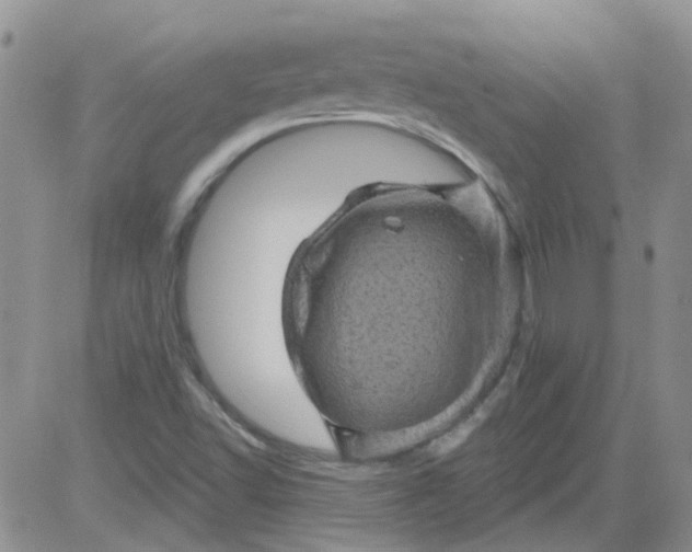 X0000084051502200703022201