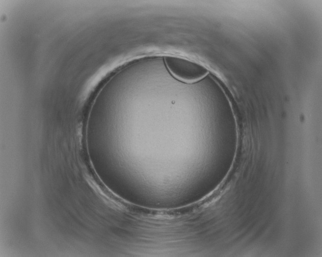 X0000084051503200703022201