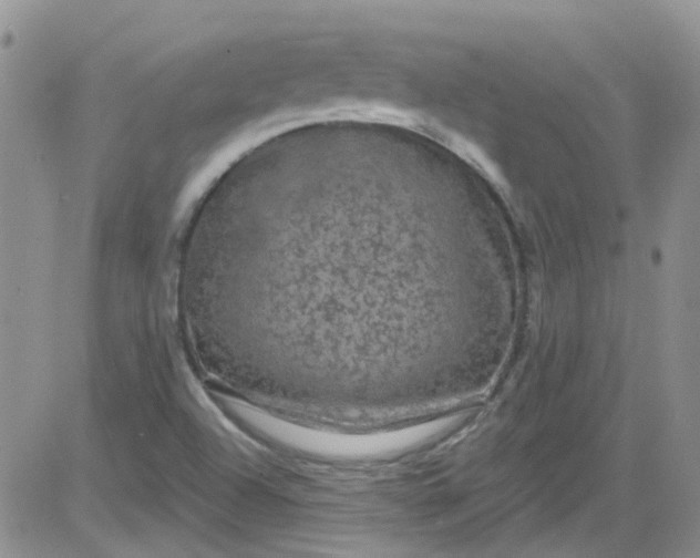 X0000084051504200703022201