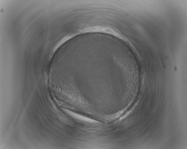 X0000084051505200703022201