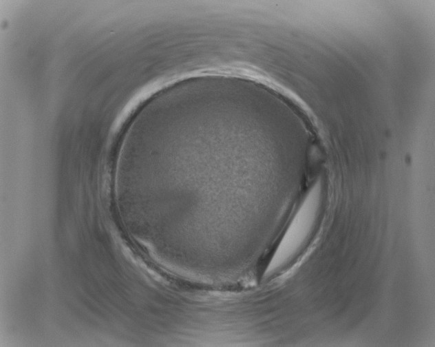 X0000084051506200703022201