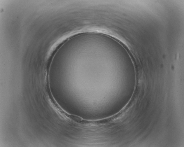 X0000084051507200703022201