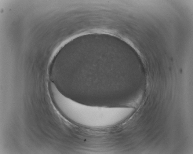 X0000084051508200703022201