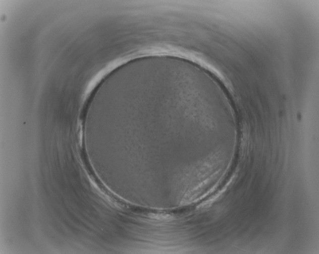 X0000084051509200703022201