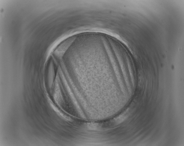 X0000084051511200703022201