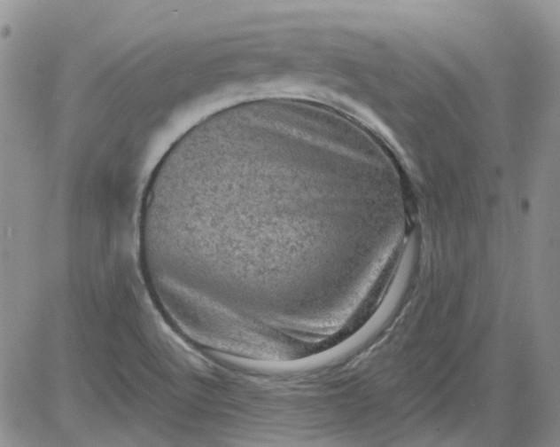 X0000084051512200703022201