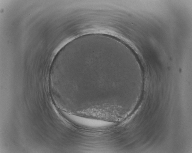 X0000084051513200703022201