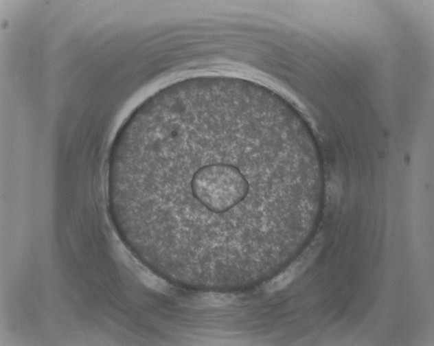 X0000084051514200703022201