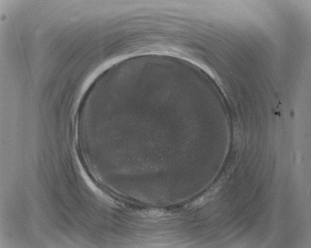 X0000084051515200703022201