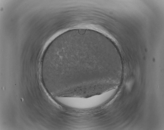 X0000084051517200703022201