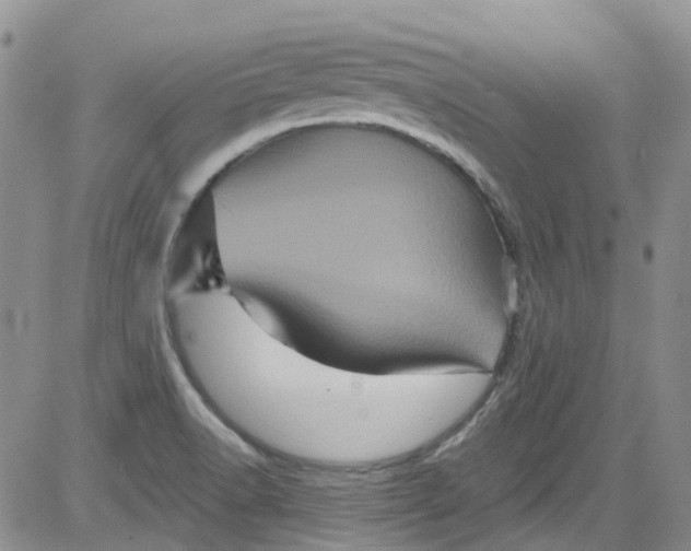 X0000084051518200703022201