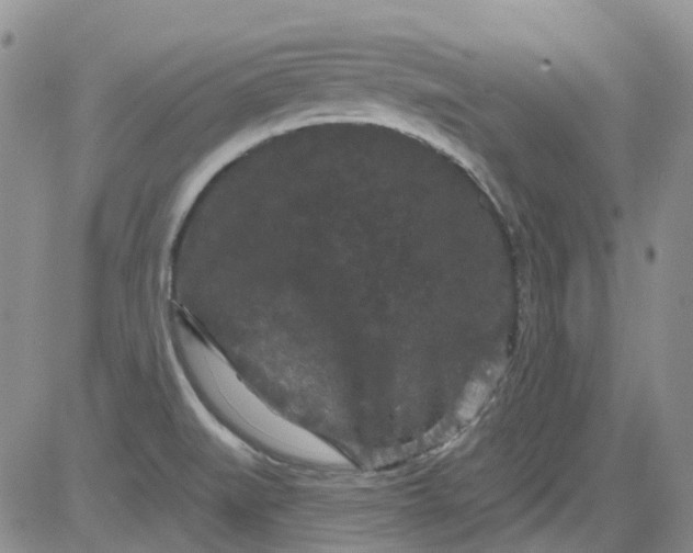 X0000084051519200703022201